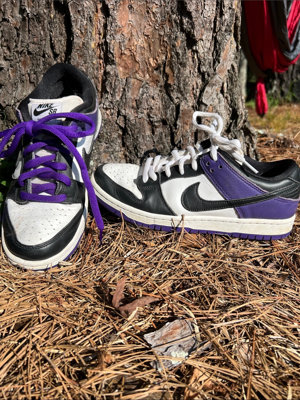 Nike SB Low Dunk Pros 7.5